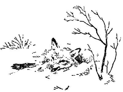 Звериная хитрость (рассказ) 018