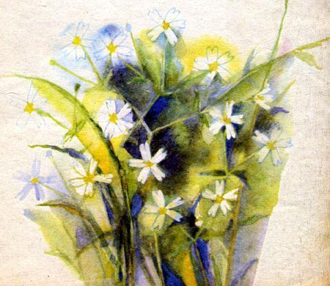 Звездчатка 